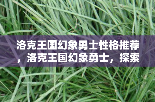 洛克王国幻象勇士性格推荐图片