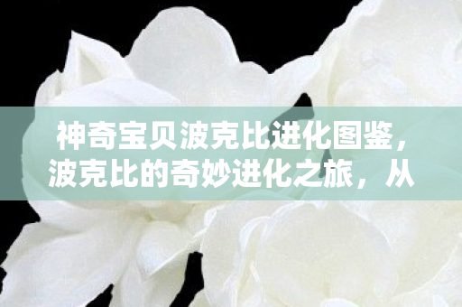 神奇宝贝波克比进化图鉴图片