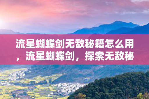 流星蝴蝶剑无敌秘籍怎么用图片