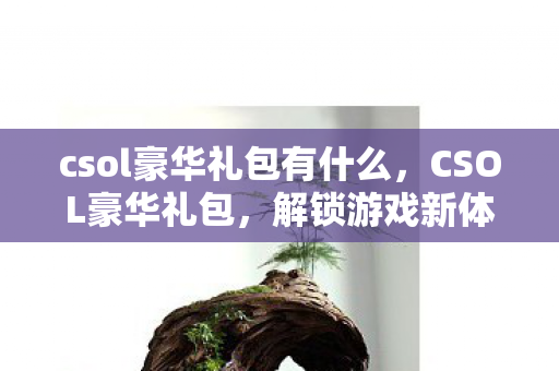 csol豪华礼包有什么图片