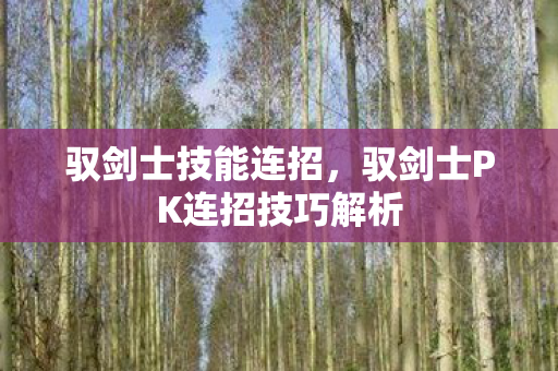 驭剑士PK连招技巧解析图片