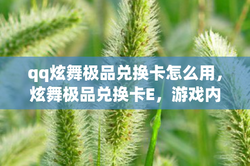 qq炫舞极品兑换卡怎么用，炫舞极品兑换卡E，游戏内外的独特魅力与珍贵价值
