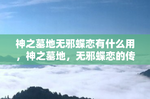 神之墓地无邪蝶恋有什么用图片