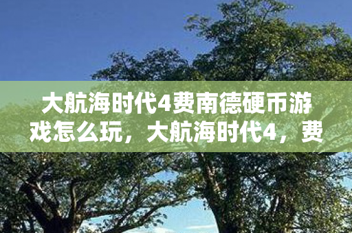 大航海时代4费南德硬币游戏怎么玩图片