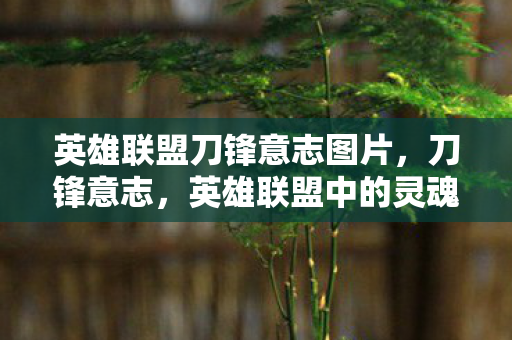 英雄联盟刀锋意志图片图片