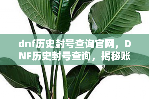 dnf历史封号查询官网图片