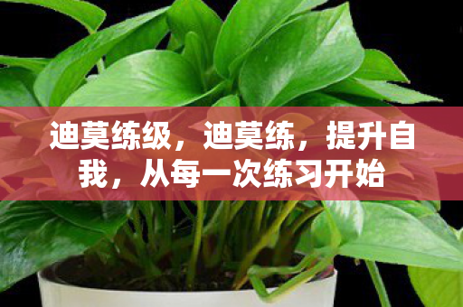 从每一次练习开始图片