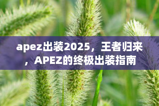APEZ的终极出装指南图片
