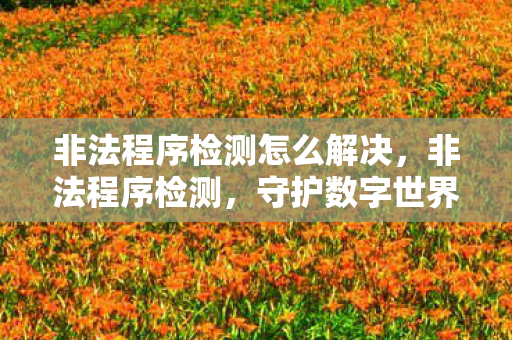 非法程序检测怎么解决图片