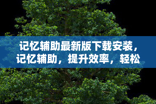 记忆辅助最新版下载安装图片