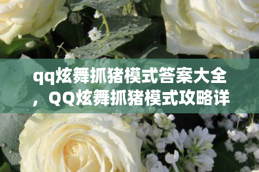 qq炫舞抓猪模式答案大全，QQ炫舞抓猪模式攻略详解