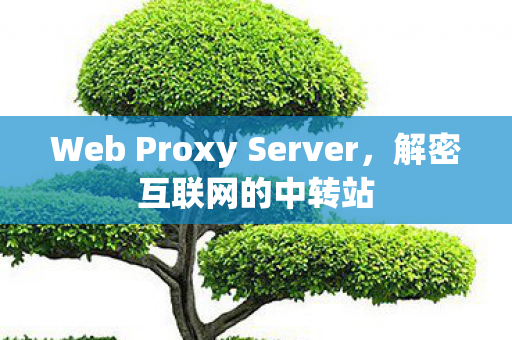 Web Proxy Server图片