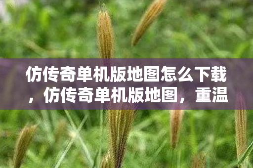 仿传奇单机版地图怎么下载图片