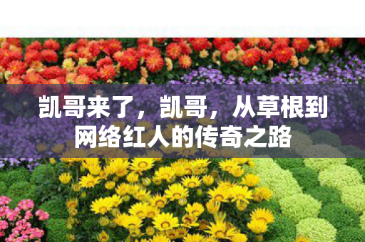 从草根到网络红人的传奇之路图片