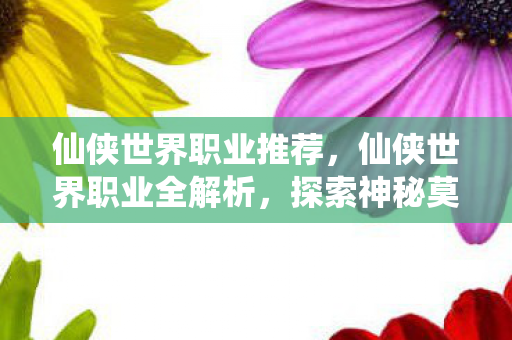 探索神秘莫测的修真之路图片