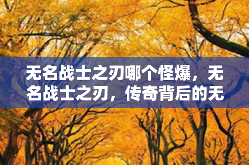 无名战士之刃哪个怪爆图片