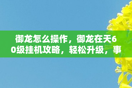御龙在天60级挂机攻略图片