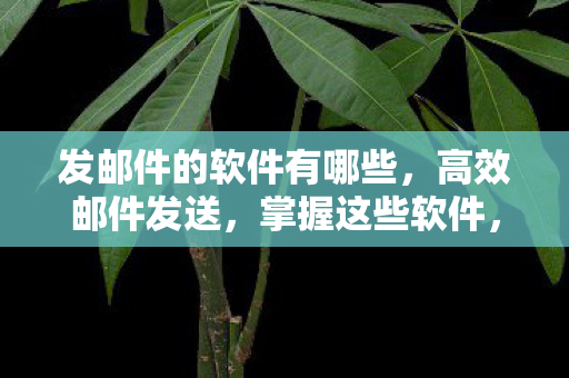 发邮件的软件有哪些图片