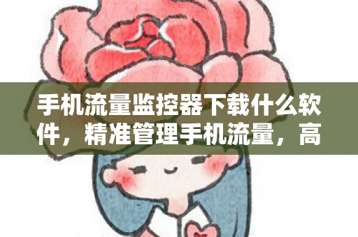 手机流量监控器下载什么软件图片