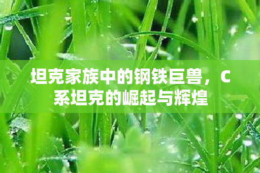 坦克家族中的钢铁巨兽图片