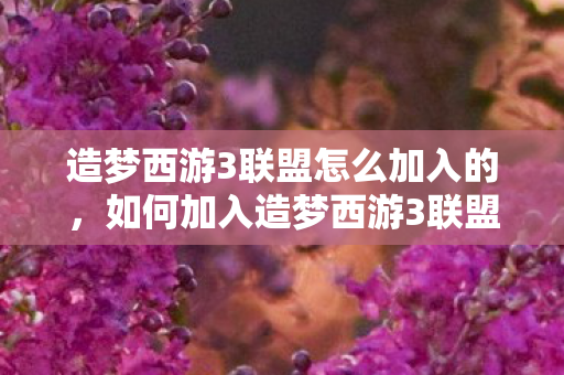 造梦西游3联盟怎么加入的图片