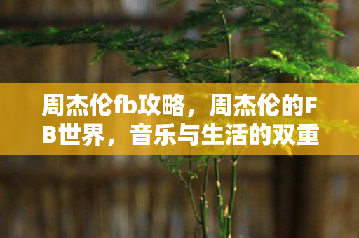 音乐与生活的双重奏图片