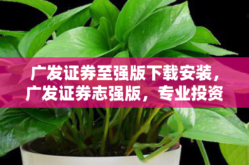 广发证券至强版下载安装图片