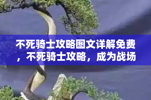 不死骑士攻略图文详解免费图片