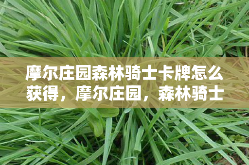 摩尔庄园森林骑士卡牌怎么获得图片