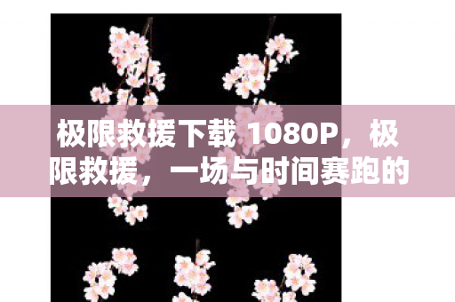 极限救援下载 1080P图片