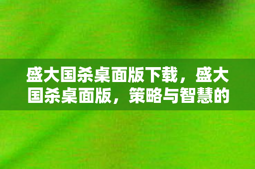 盛大国杀桌面版下载图片