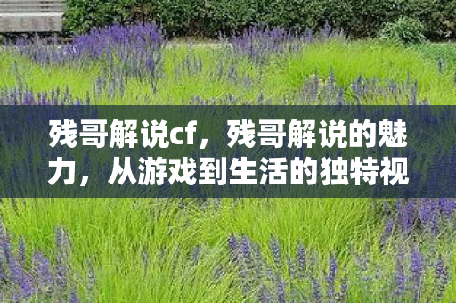 从游戏到生活的独特视角图片