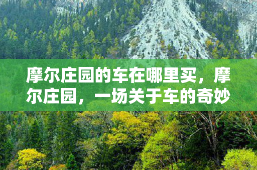 摩尔庄园的车在哪里买图片