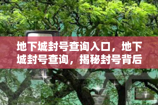 地下城封号查询入口图片