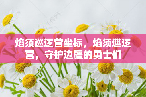 守护边疆的勇士们图片