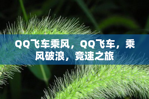QQ飞车乘风图片