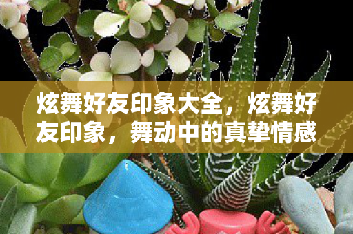 炫舞好友印象大全，炫舞好友印象，舞动中的真挚情感