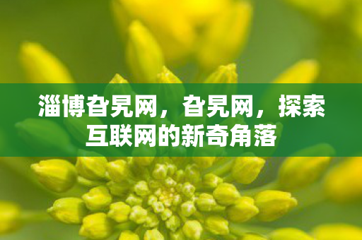 探索互联网的新奇角落图片