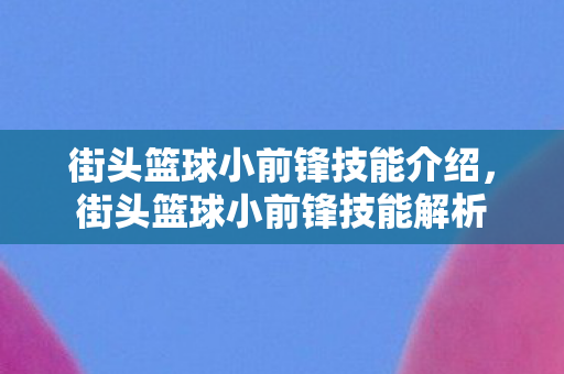 街头篮球小前锋技能介绍图片