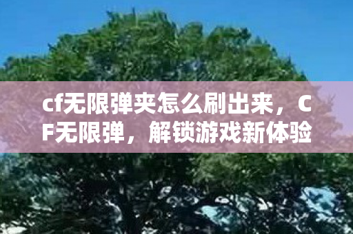 cf无限弹夹怎么刷出来图片