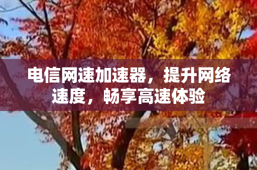 电信网速加速器图片