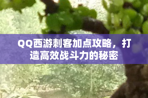 QQ西游刺客加点攻略图片