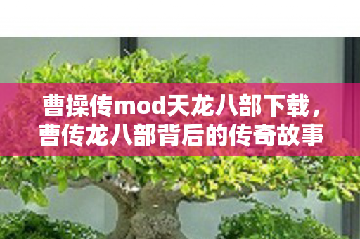 曹操传mod天龙八部下载图片