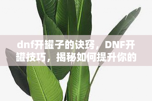 揭秘如何提升你的开罐成功率图片