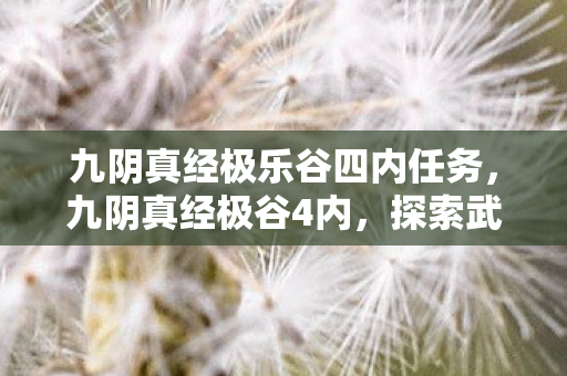 九阴真经极乐谷四内任务图片