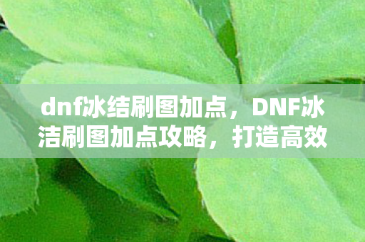 DNF冰洁刷图加点攻略图片