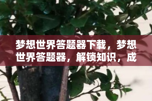 梦想世界答题器下载图片