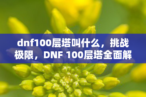 DNF 100层塔全面解析图片
