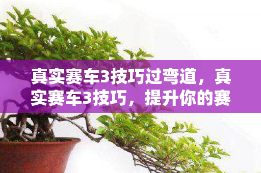 真实赛车3技巧过弯道图片