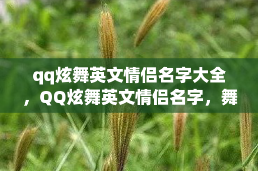 qq炫舞英文情侣名字大全，QQ炫舞英文情侣名字，舞动爱情的音符